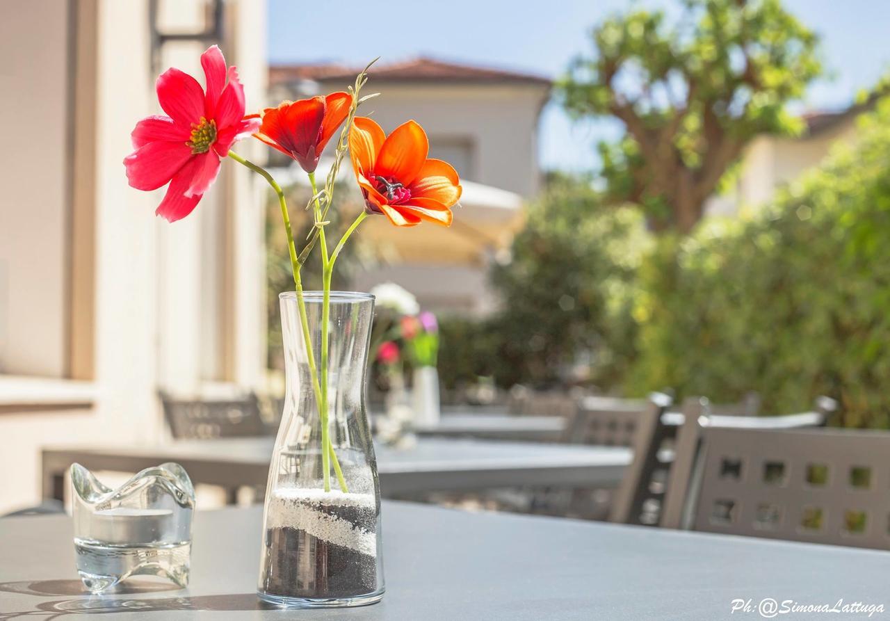 Hotel Ninfea Τσέρβια Εξωτερικό φωτογραφία